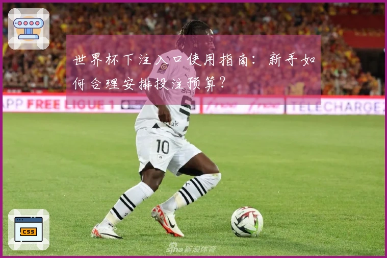 世界杯下注入口使用指南：新手如何合理安排投注预算？