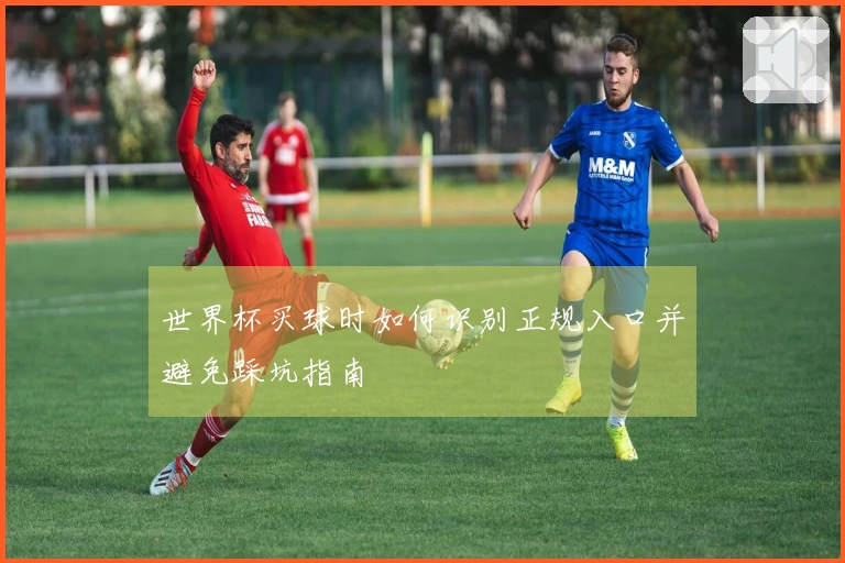 世界杯买球时如何识别正规入口并避免踩坑指南