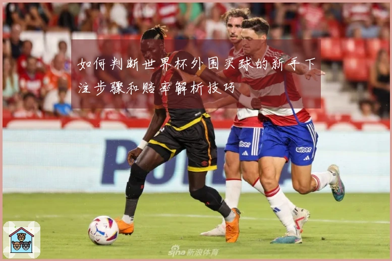 如何判断世界杯外围买球的新手下注步骤和赔率解析技巧