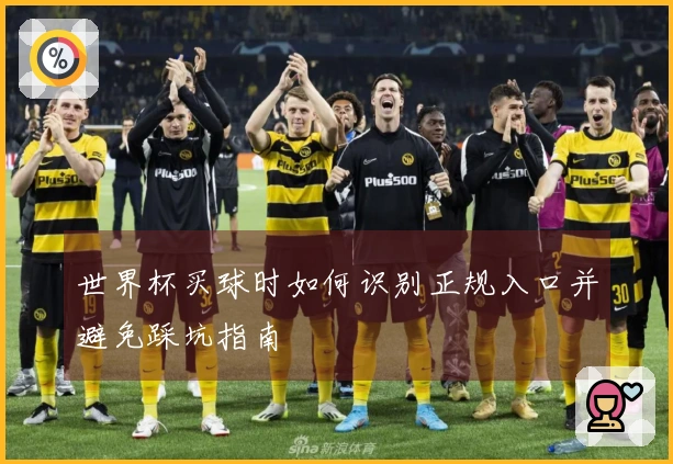 世界杯买球时如何识别正规入口并避免踩坑指南